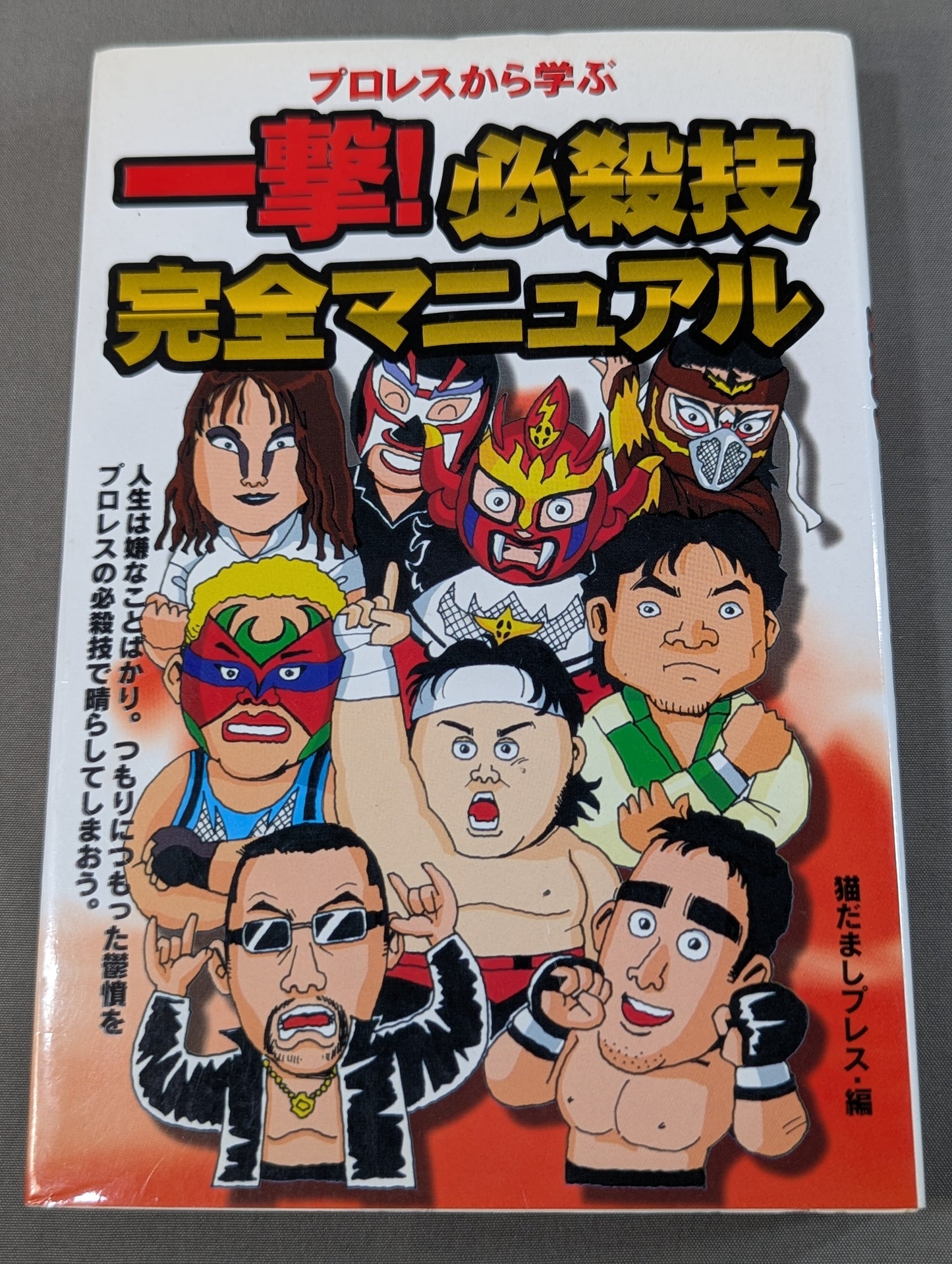 Learn from Pro Wrestling: One Strike! Complete Manual for Special Moves
