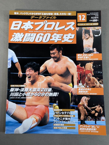 Japan Pro Wrestling 60 Years of Fierce Battle (12)