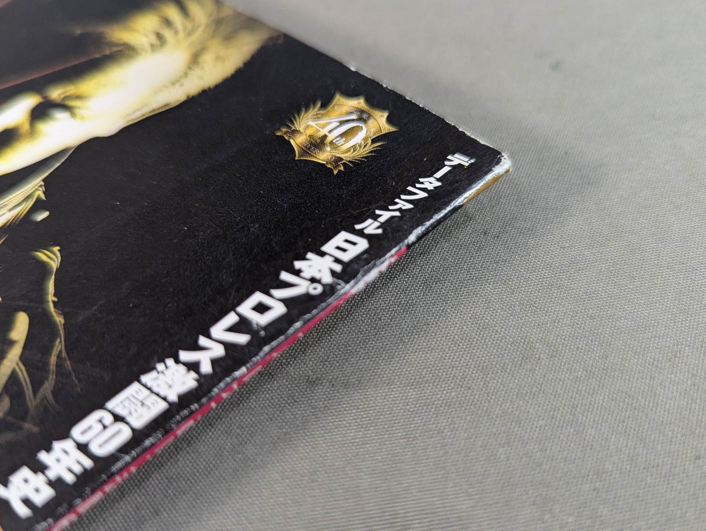 日本プロレス激闘60年史 (14)