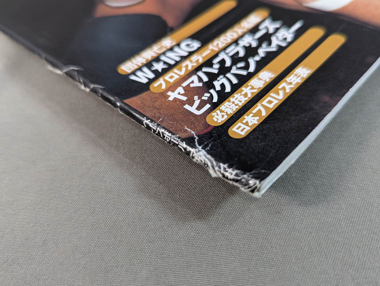 日本プロレス激闘60年史 (14)