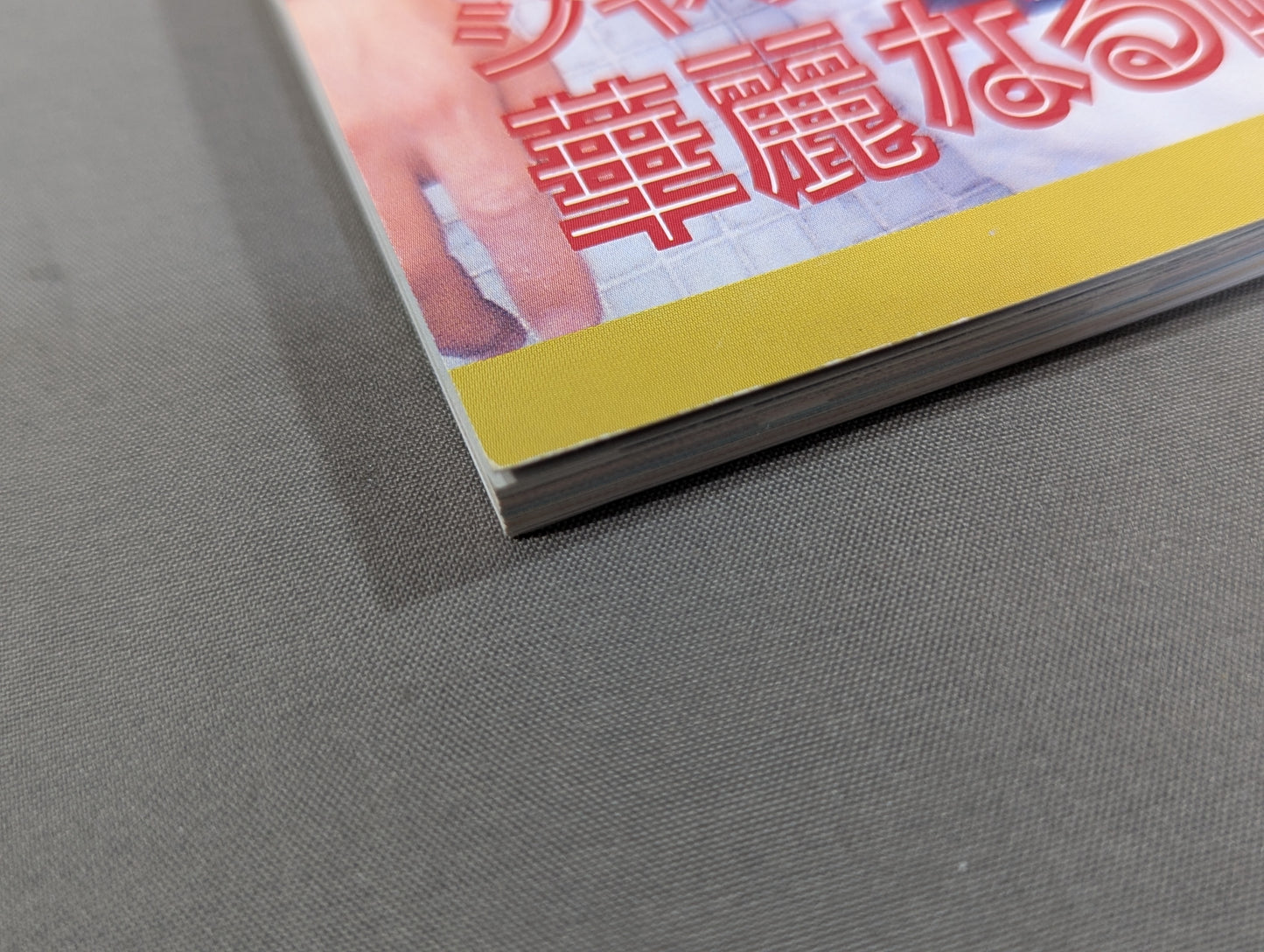 Screen Special Edition Jackie Chan 'Drunken Master 2' Special Issue