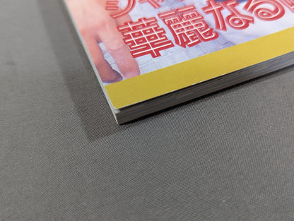 Screen Special Edition Jackie Chan 'Drunken Master 2' Special Issue