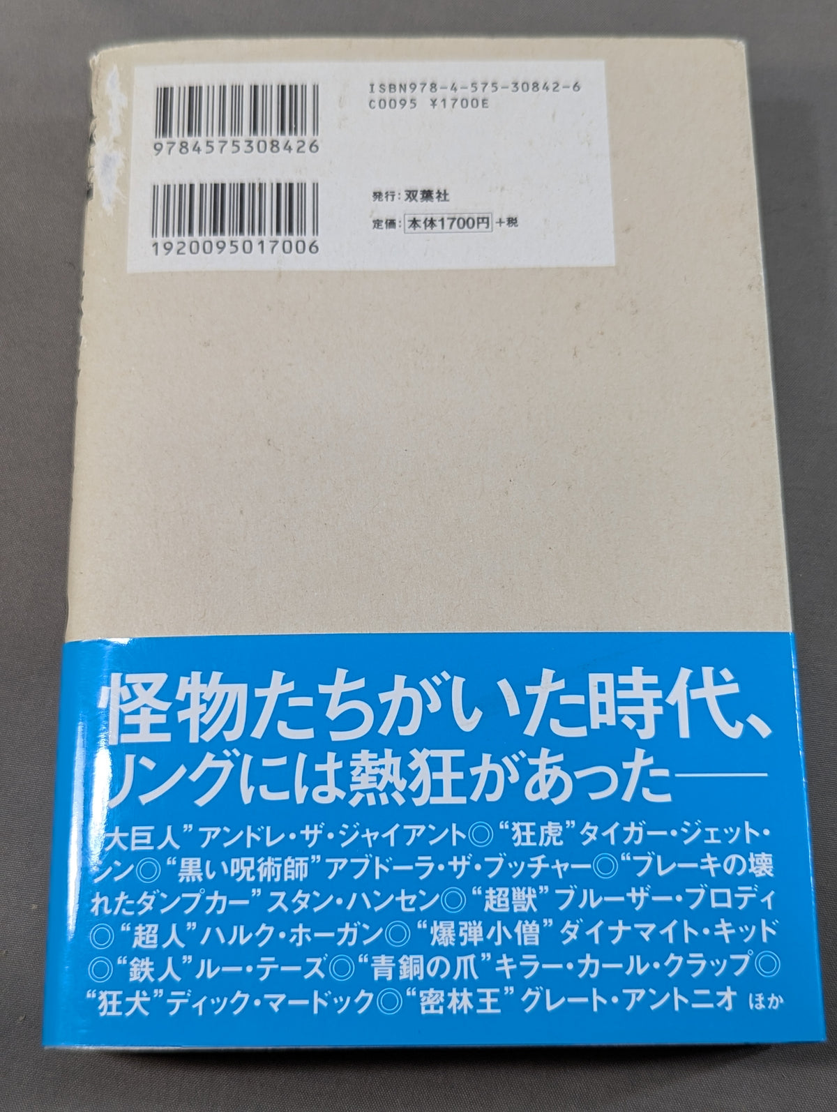 悪役レスラーのやさしい素顔