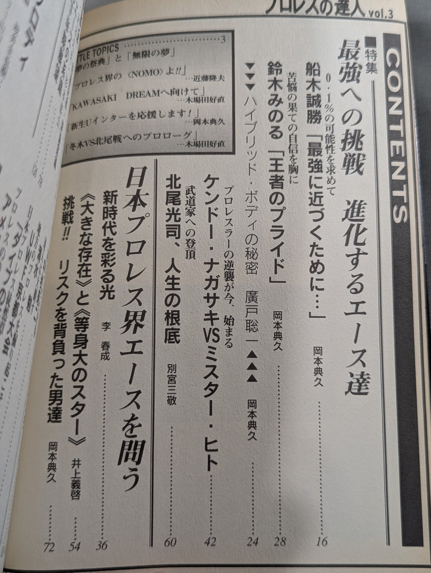 プロレスの達人 Vol.3 最強への挑戦 船木・鈴木