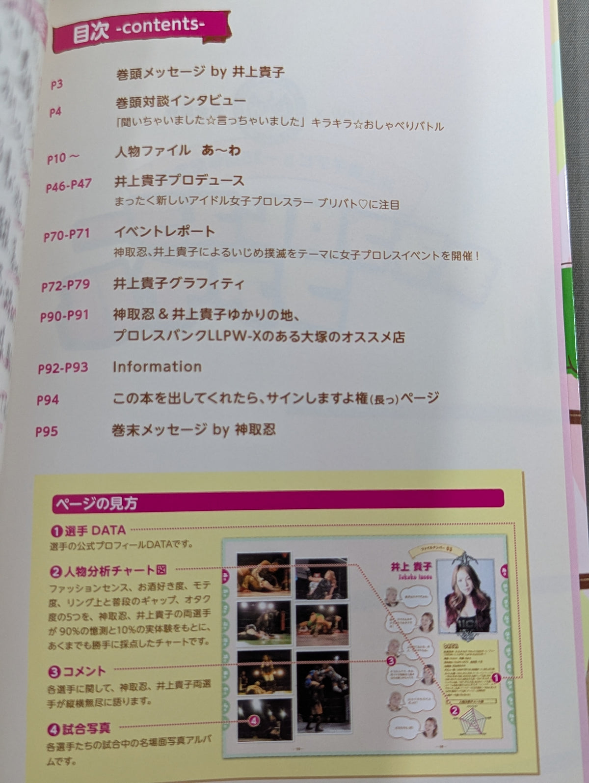 Takako Inoue 25th Anniversary Edition Women's Pro Wrestler File