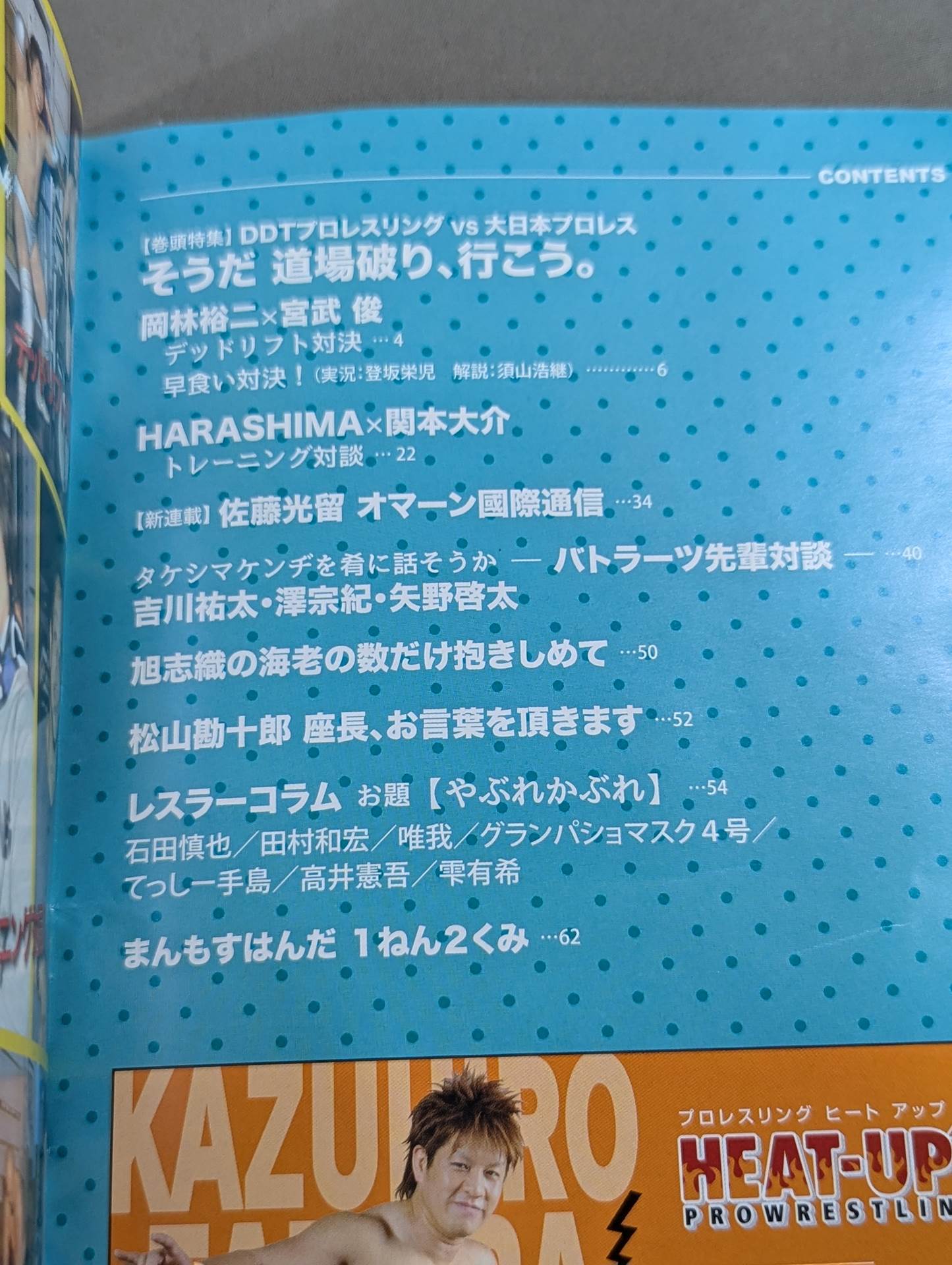 プロレス文藝 第11号