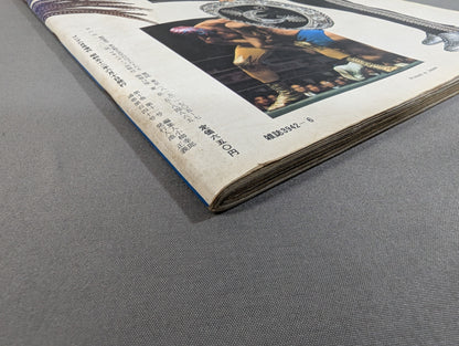 ミル・マスカラス その華麗なる世界 PART2