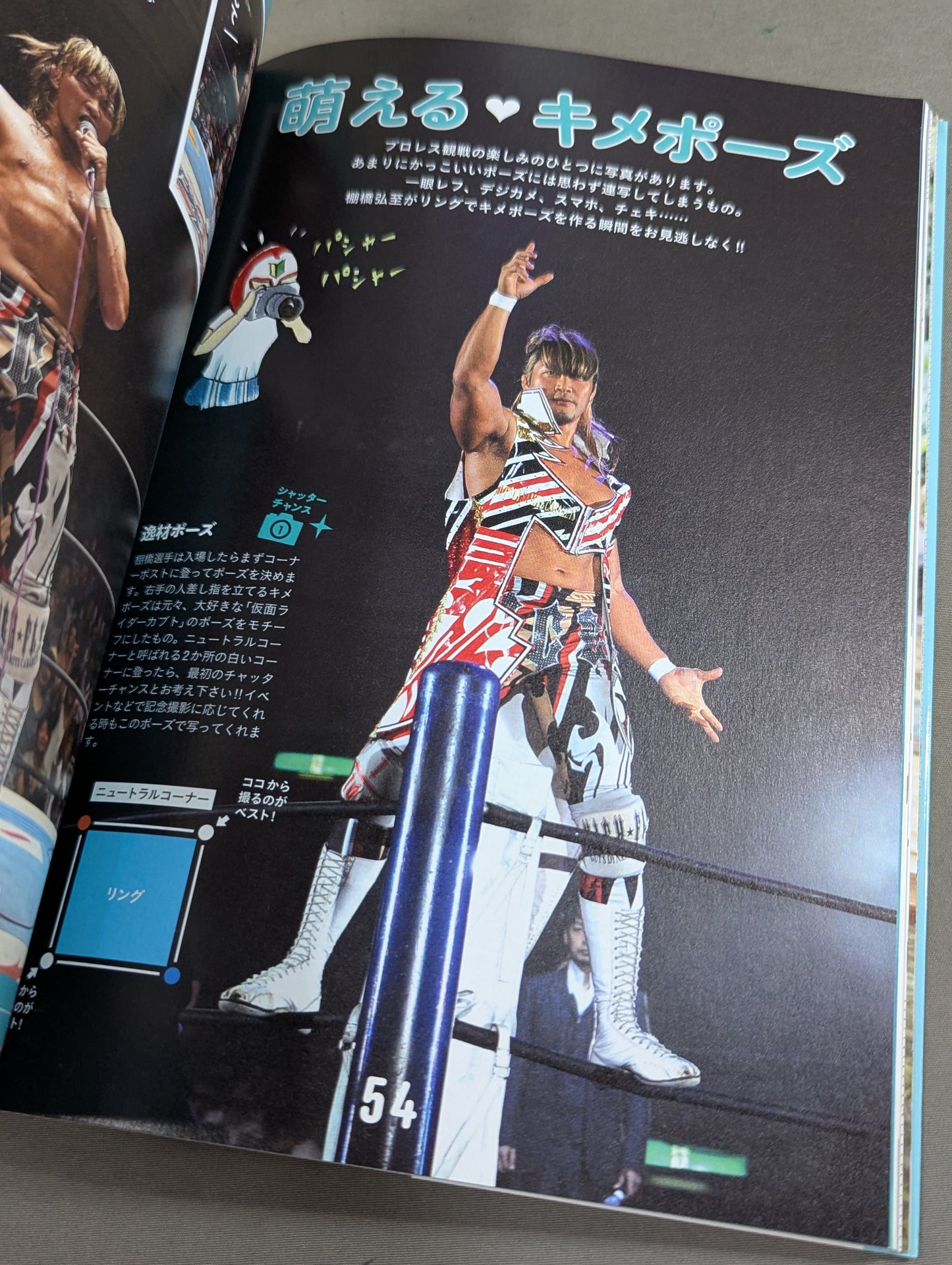 Moe Pro ♡ Special Hiroshi Tanahashi