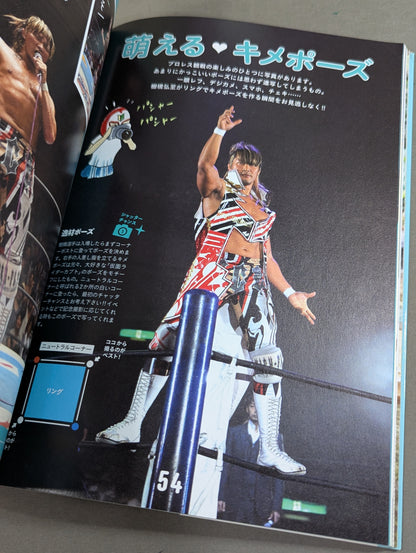 Moe Pro ♡ Special Hiroshi Tanahashi