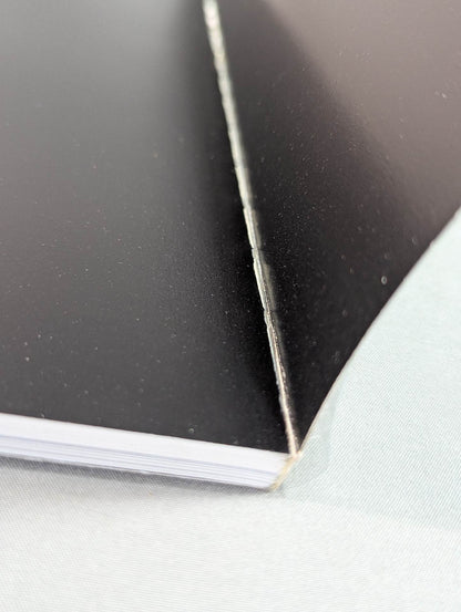 アントニオ猪木+倍賞美津子 写真集 MANLY WOMANLY