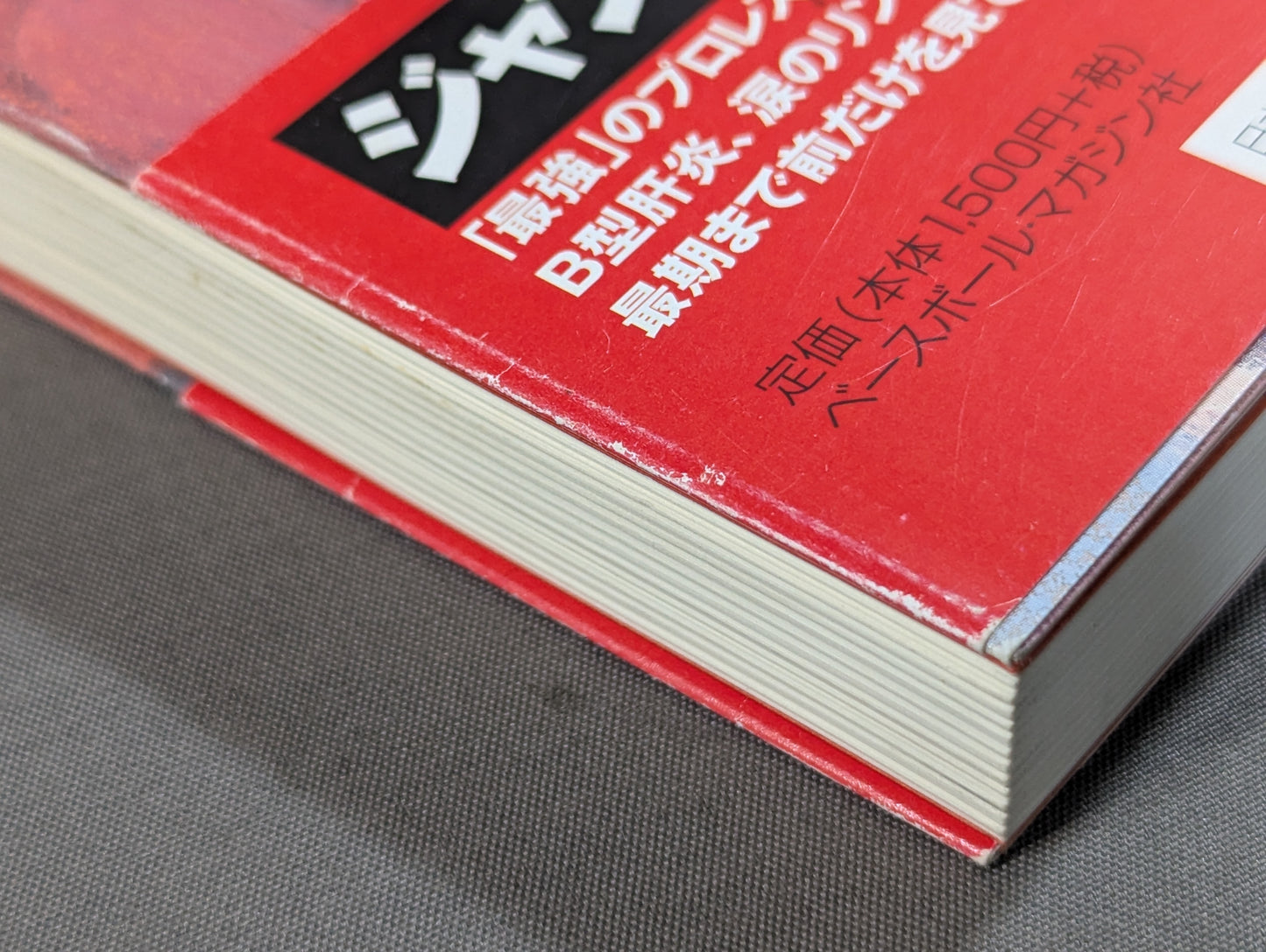 つぅさん、またね。 ジャンボ鶴田を支えた家族の記録
