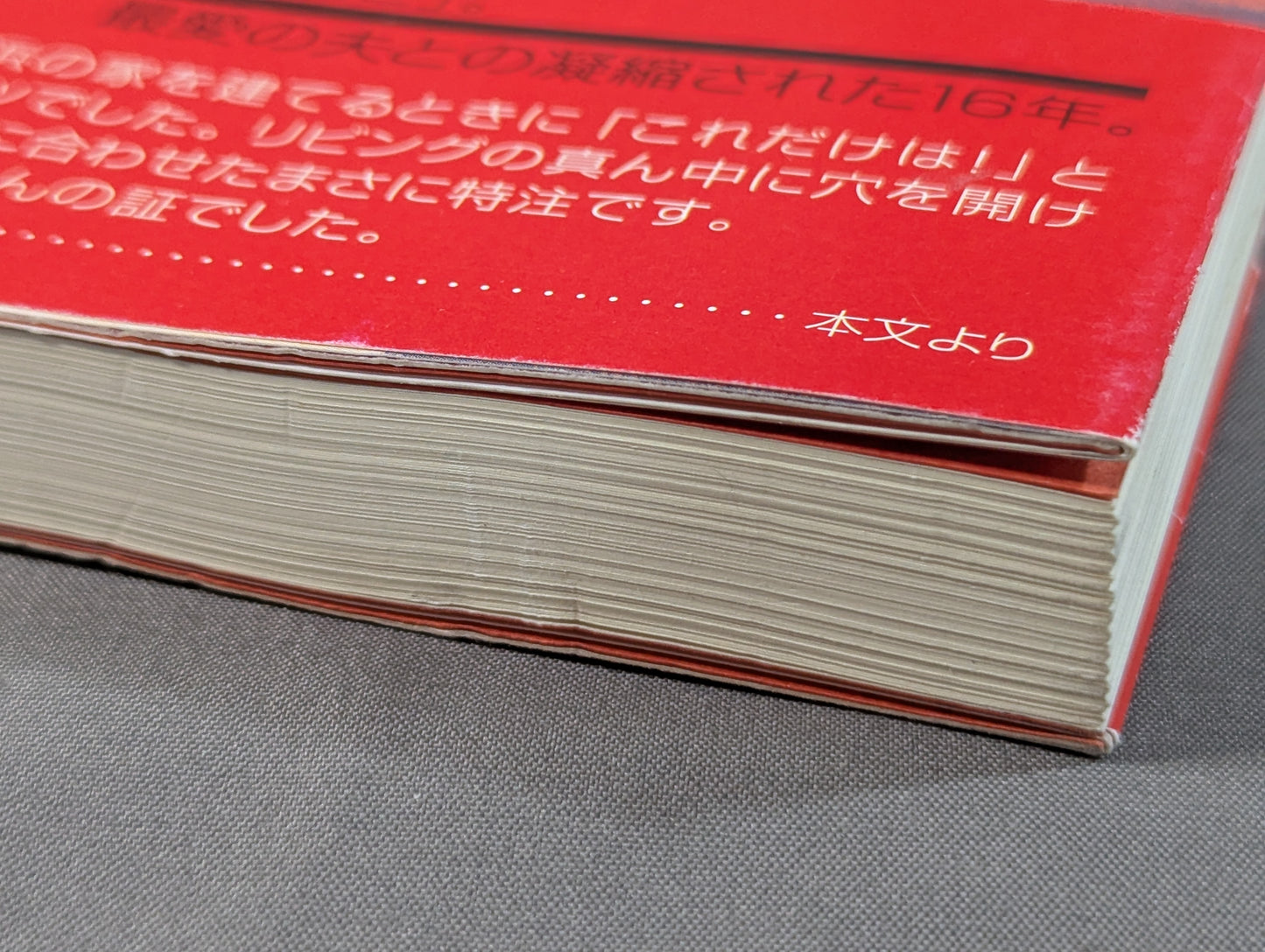 つぅさん、またね。 ジャンボ鶴田を支えた家族の記録