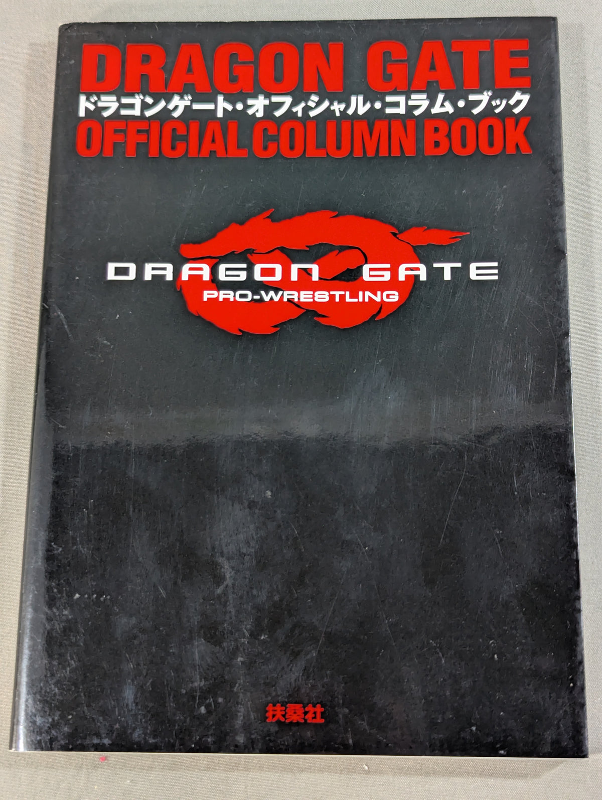Dragon Gate Official Column Book