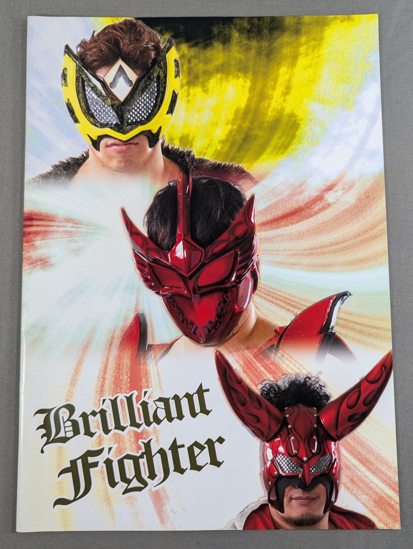 Brilliant Fighter