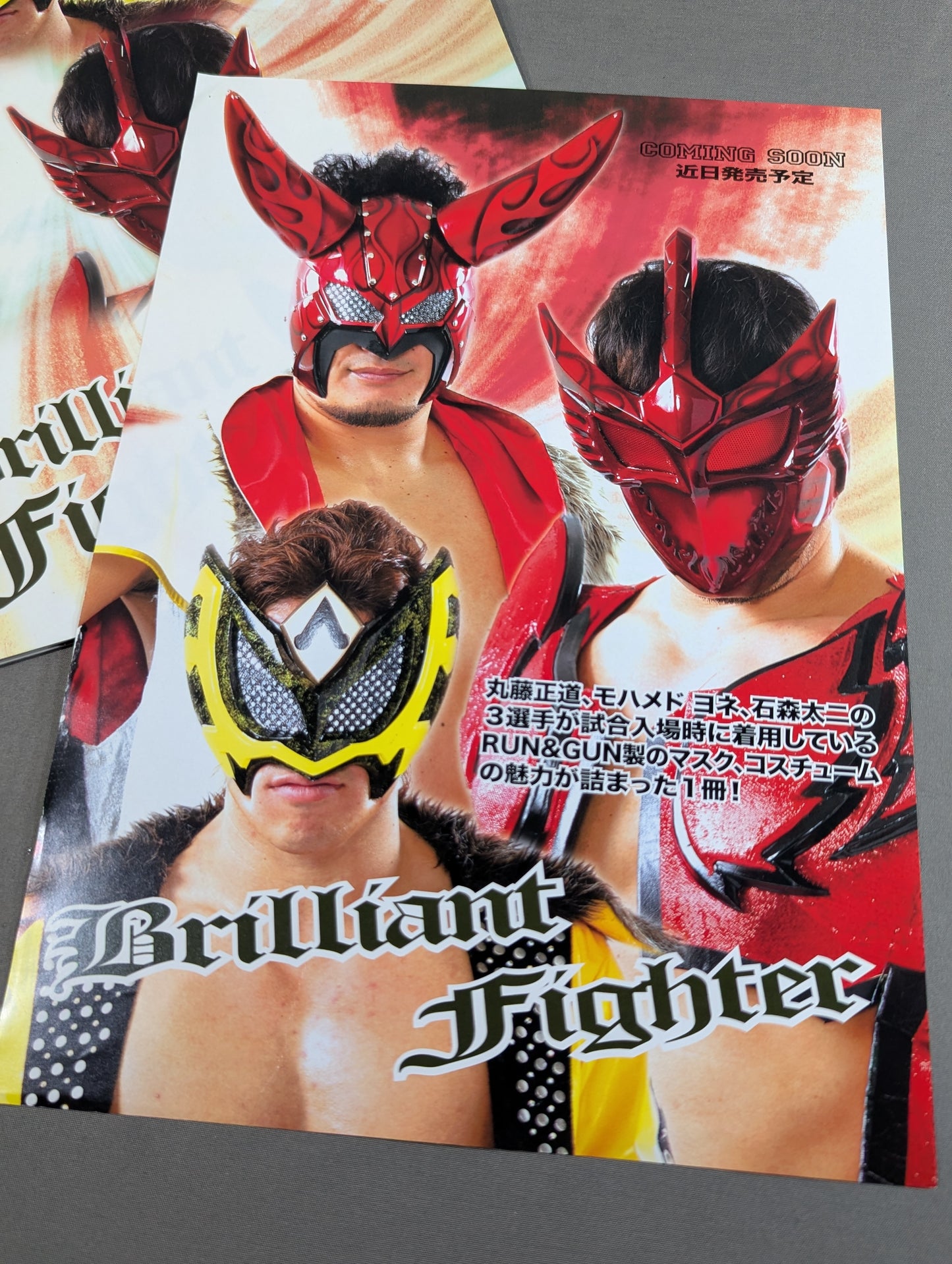 Brilliant Fighter