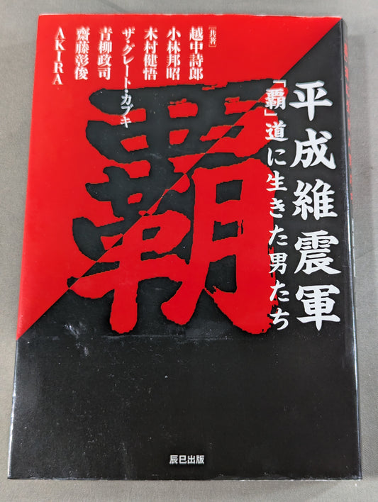 平成維震軍 「覇」道に生きた男たち
