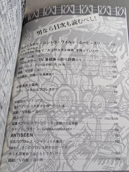Agony! Pro Wrestling  Treasure Museum Vol.1