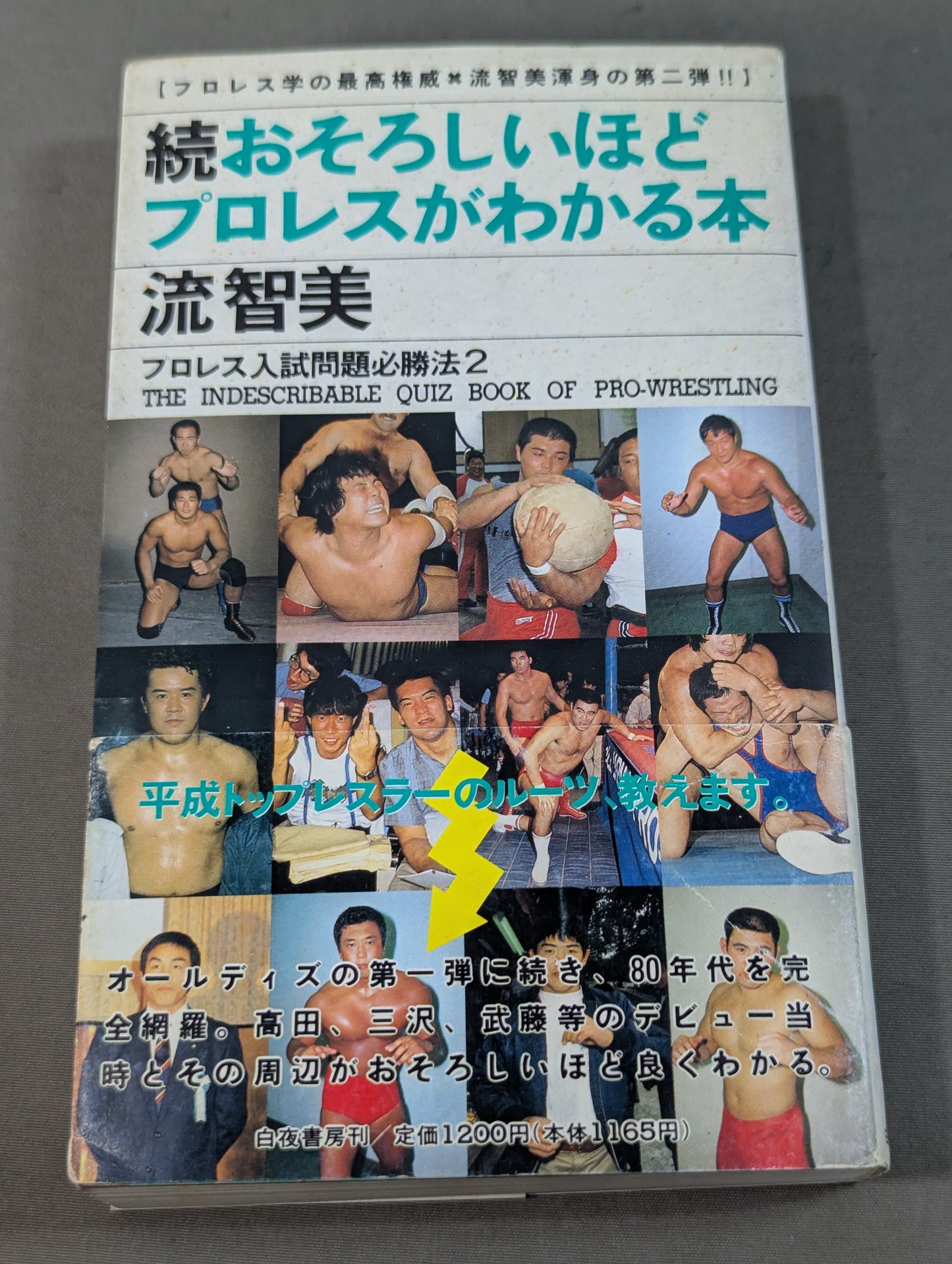 Continued: A book that shows Pro Wrestling  terribly