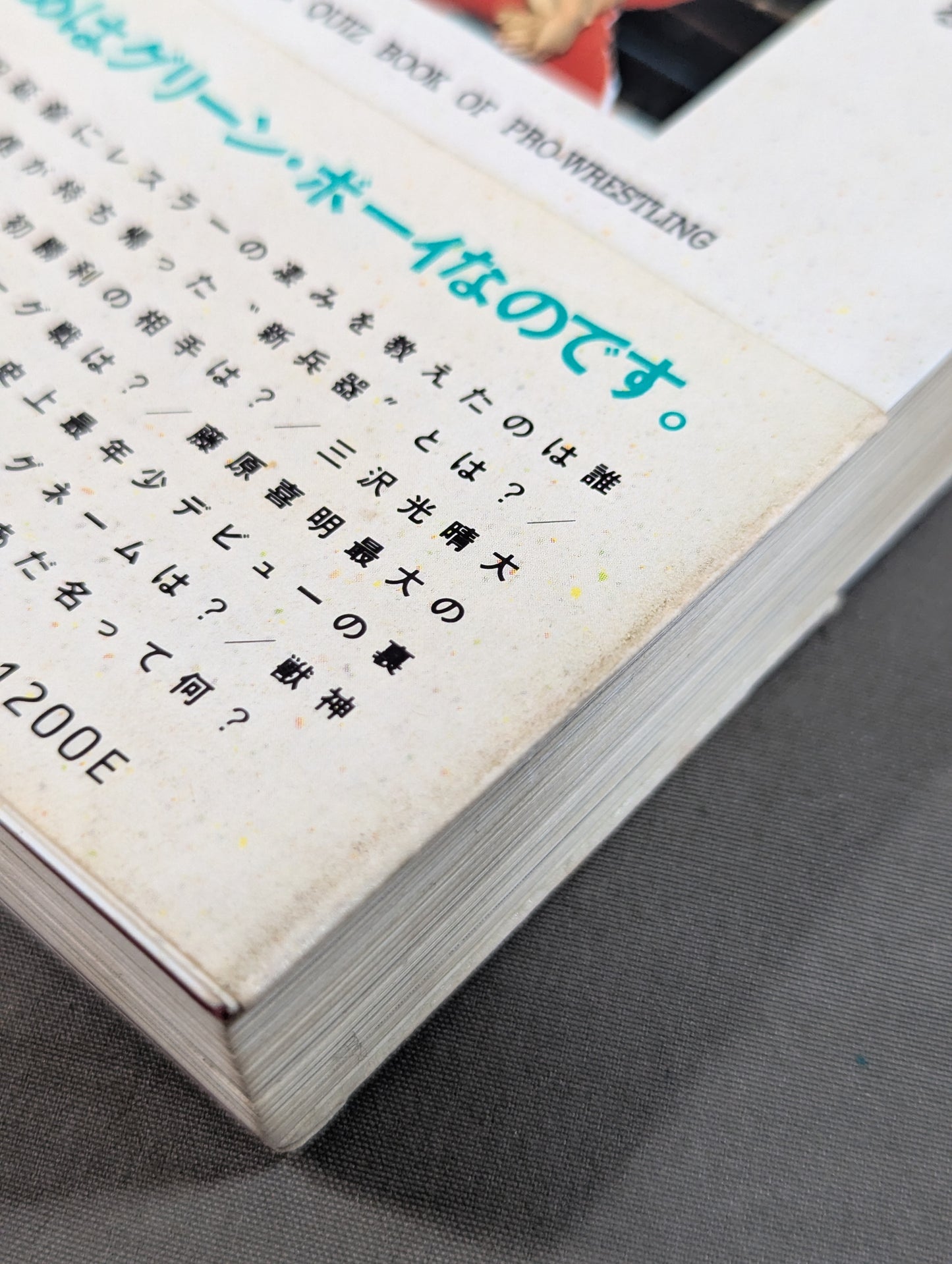 Continued: A book that shows Pro Wrestling  terribly