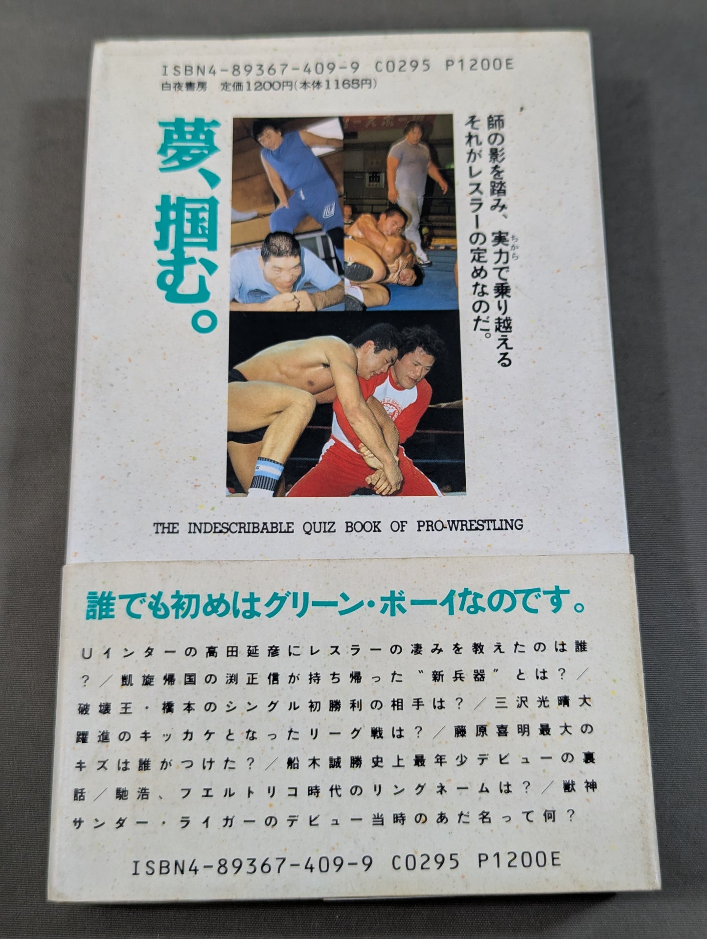 Continued: A book that shows Pro Wrestling  terribly