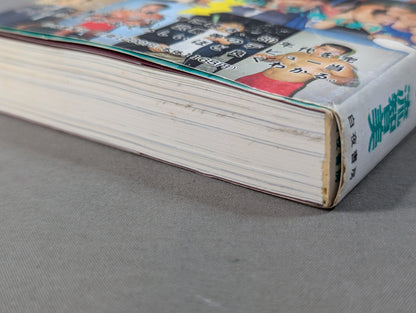 Continued: A book that shows Pro Wrestling  terribly