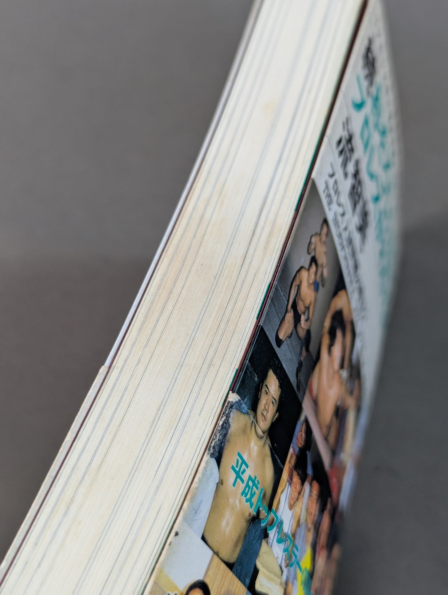 Continued: A book that shows Pro Wrestling  terribly