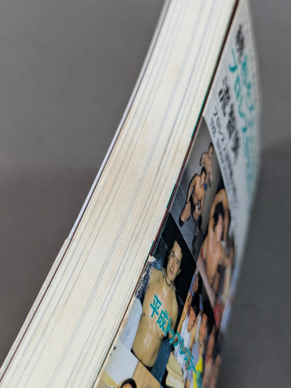 Continued: A book that shows Pro Wrestling  terribly