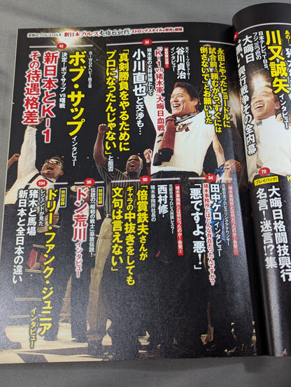 Series Paradoxical Pro Wrestling Vol.4 New Japan Pro Wrestling New Year's Eve Bloody Battle: The Glory and Collapse of Strong Style