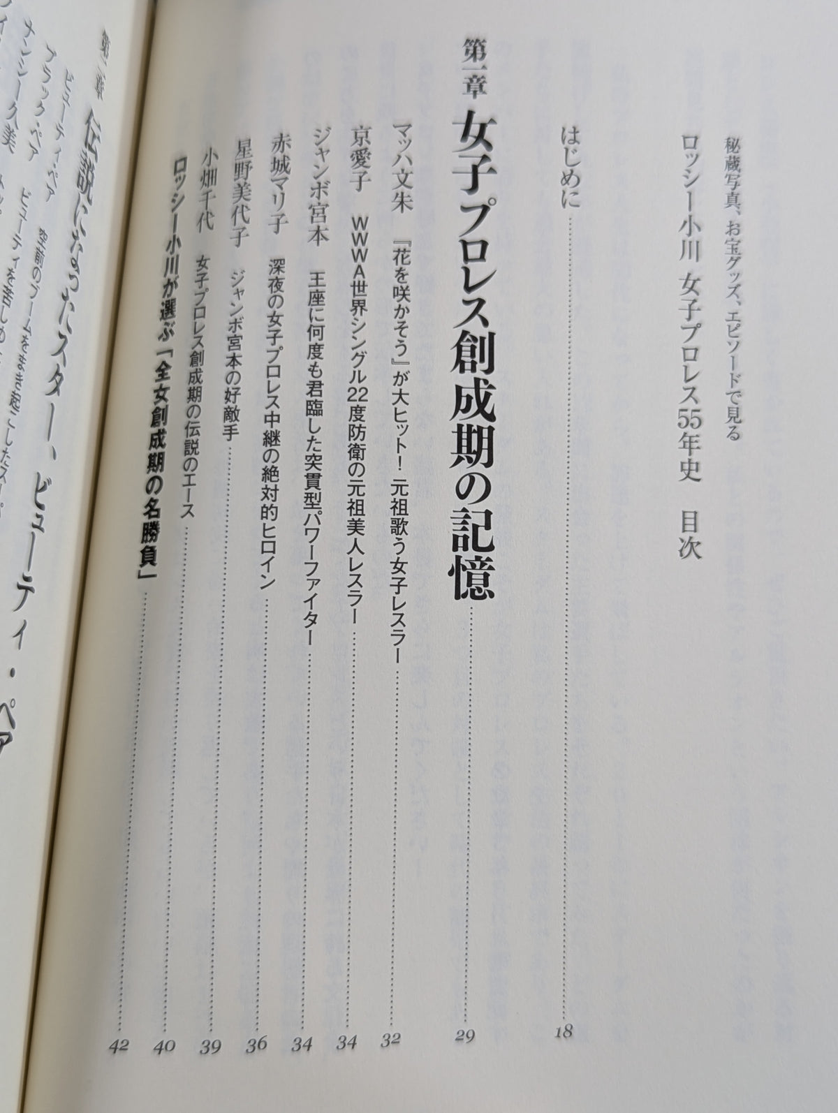 秘蔵写真、お宝グッズ、エピソードで見る 女子プロレス55年史