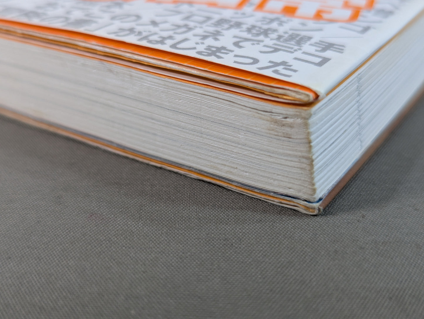 I'm a pro wrestler ~everyone! I love you~!! ～