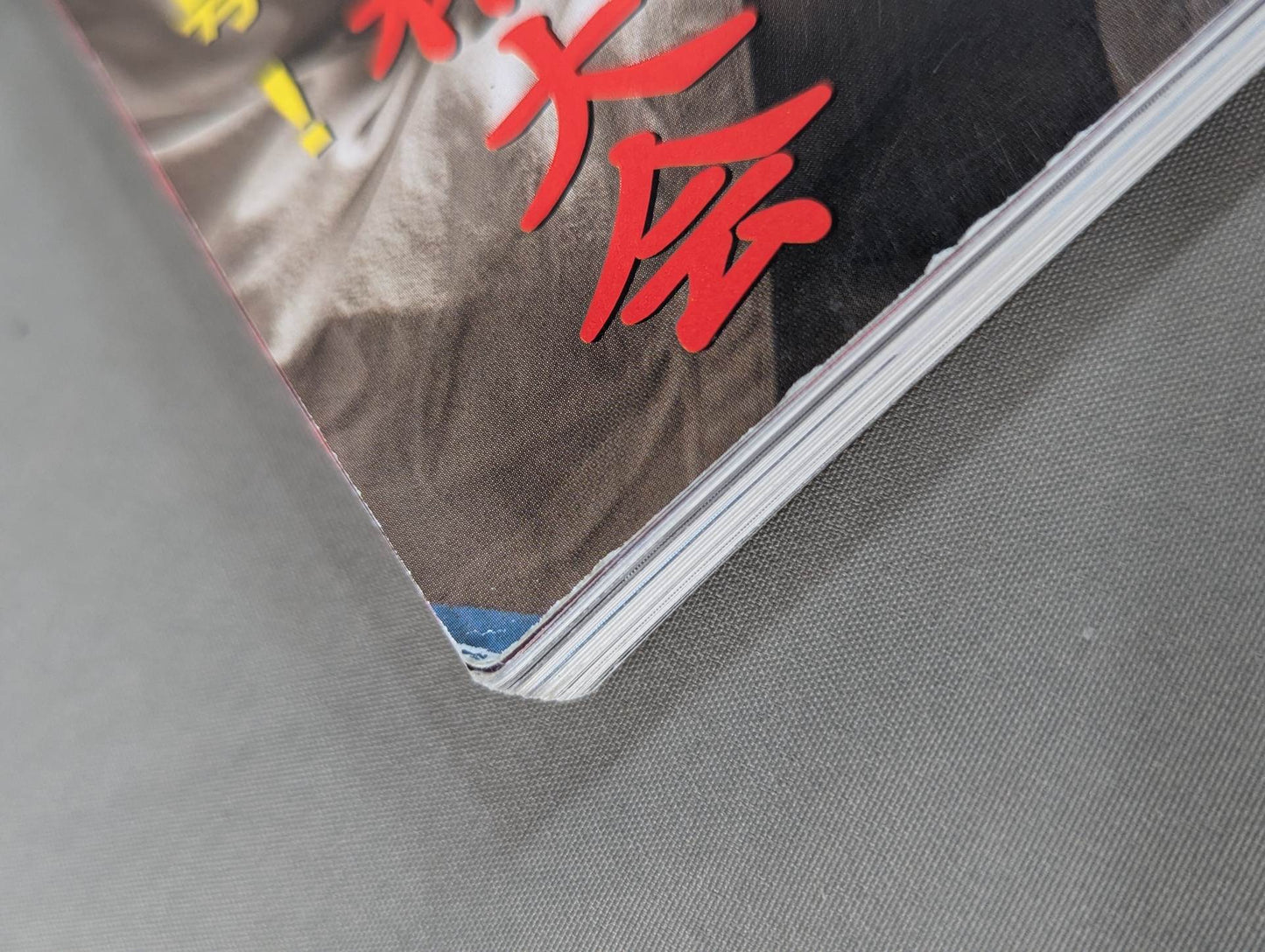 New Kyokushin KARATE  '96YEARS BOOK 28th All Japan Fighters Championship Perfect Chase!