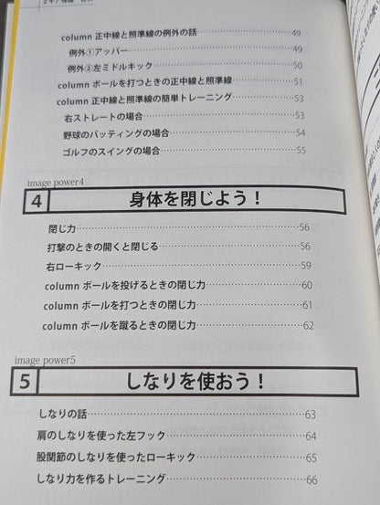 【DVD付】2ギア理論 強い人の『身体操作』の秘密