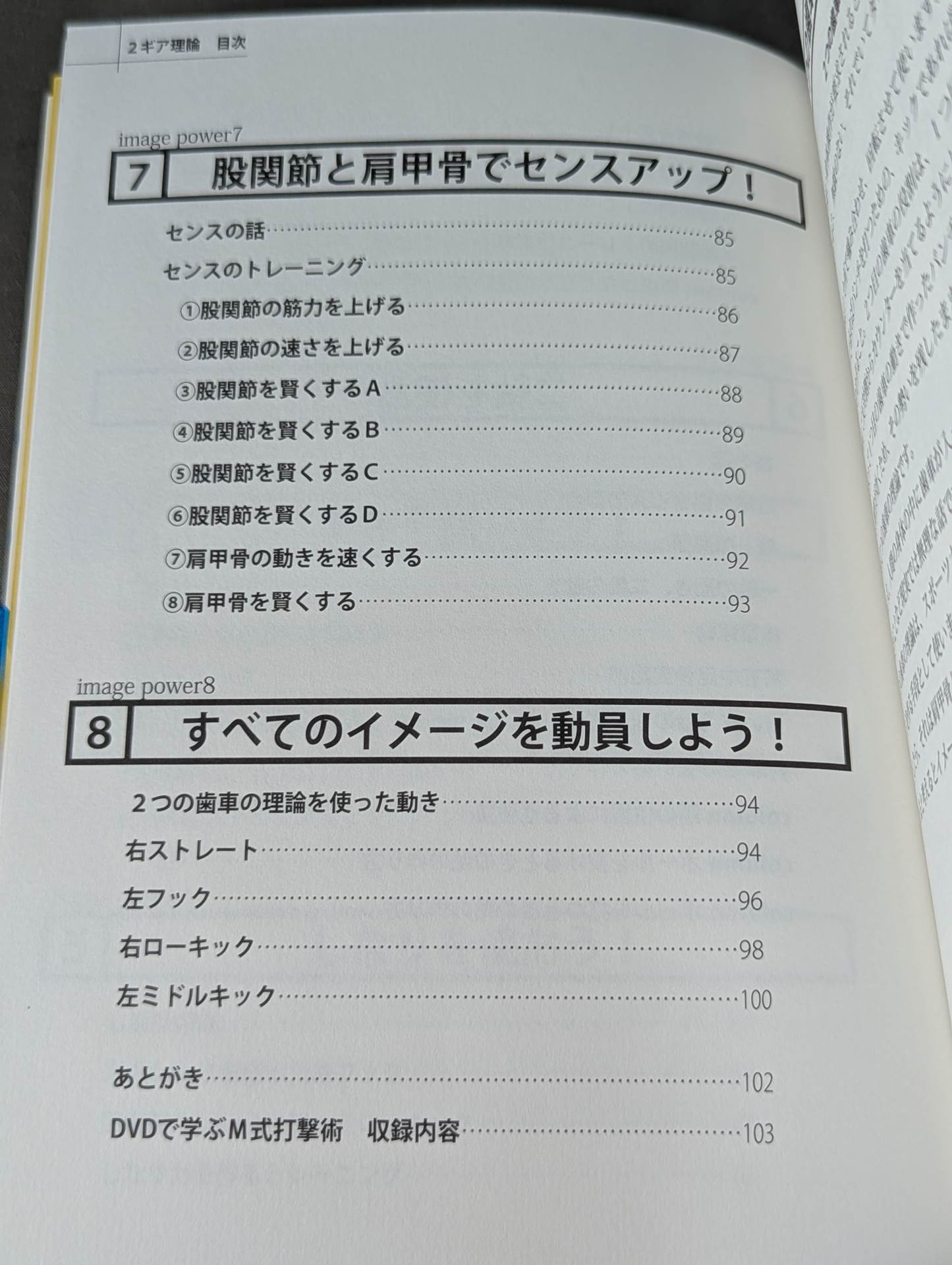 【DVD付】2ギア理論 強い人の『身体操作』の秘密