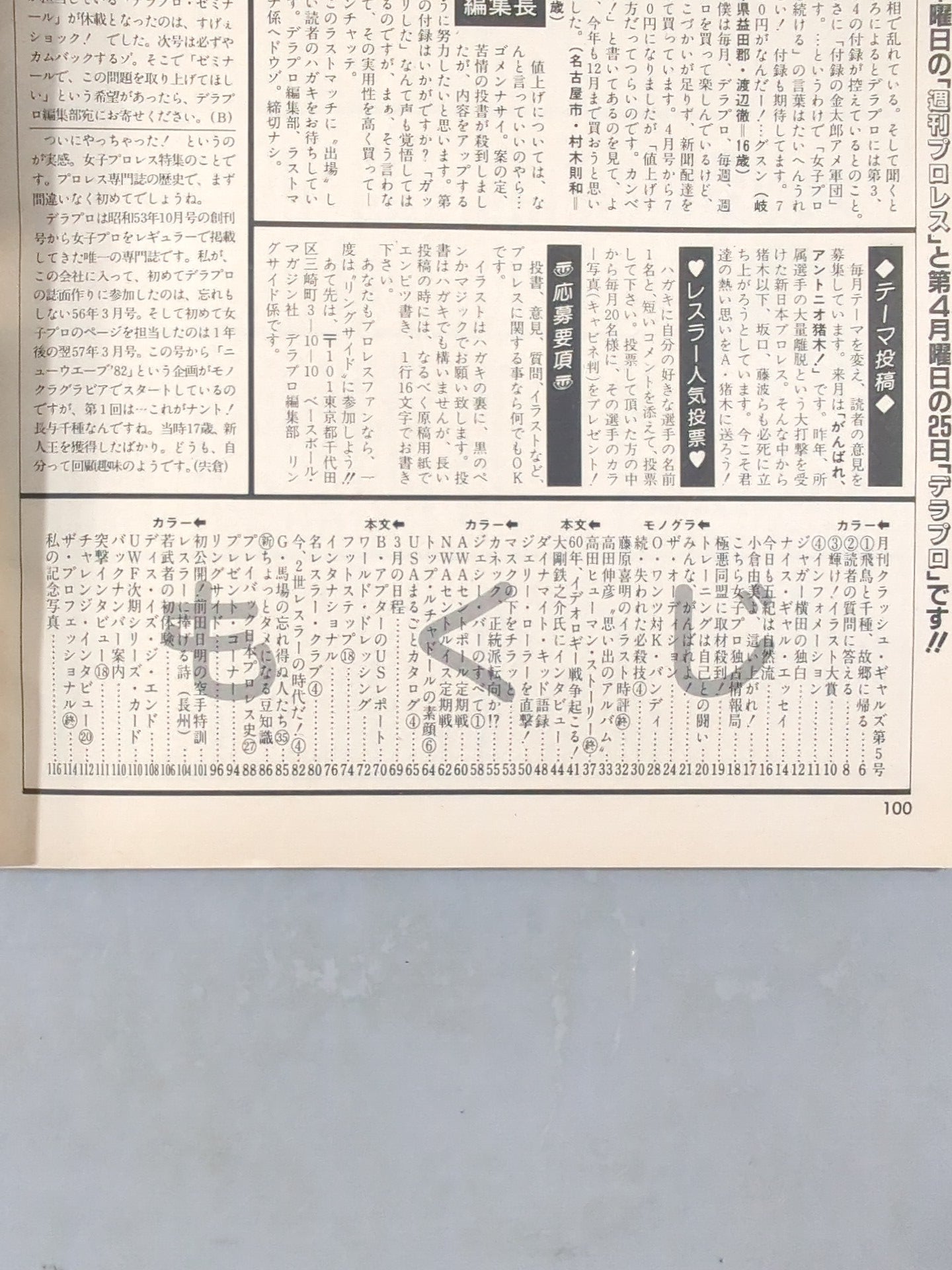 デラックスプロレス 1985年4月号