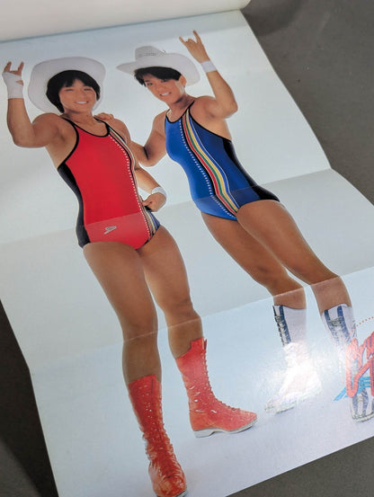 リングに投げキッス 女子プロレス30周年記念エキサイティング・グラフィティ