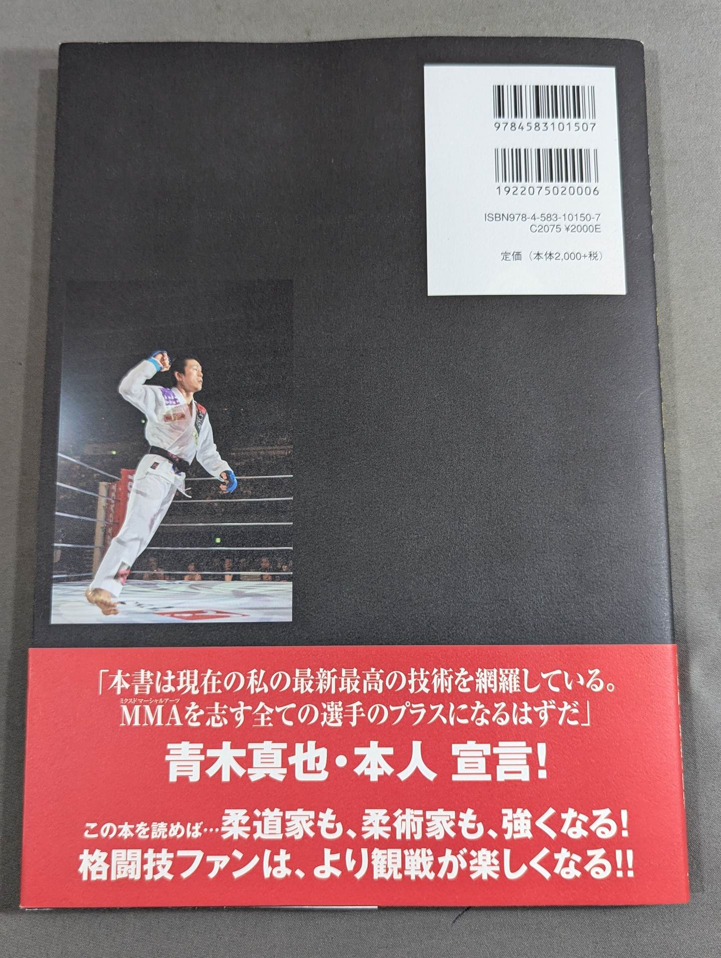 Introduction to mixed martial arts by Shinya Aoki