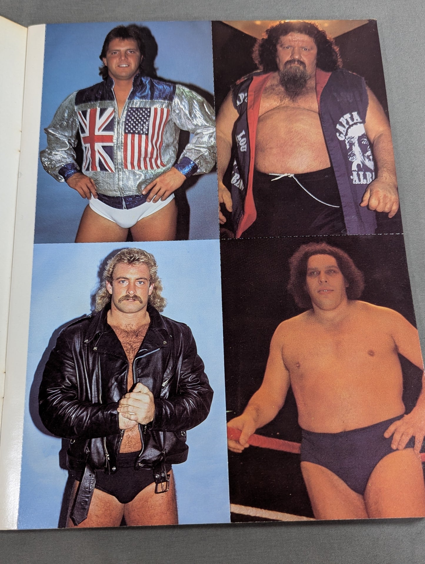 THE ALL STAR Wrestling  POSTCARD BOOK