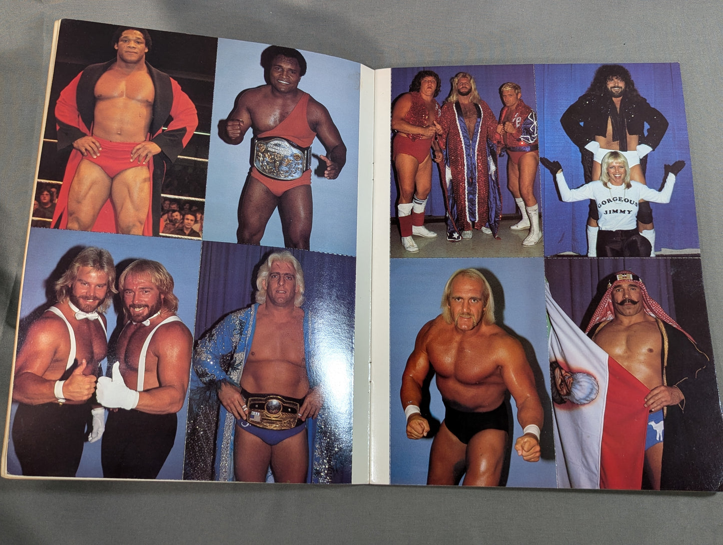 THE ALL STAR Wrestling  POSTCARD BOOK
