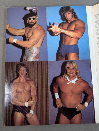 THE ALL STAR Wrestling  POSTCARD BOOK