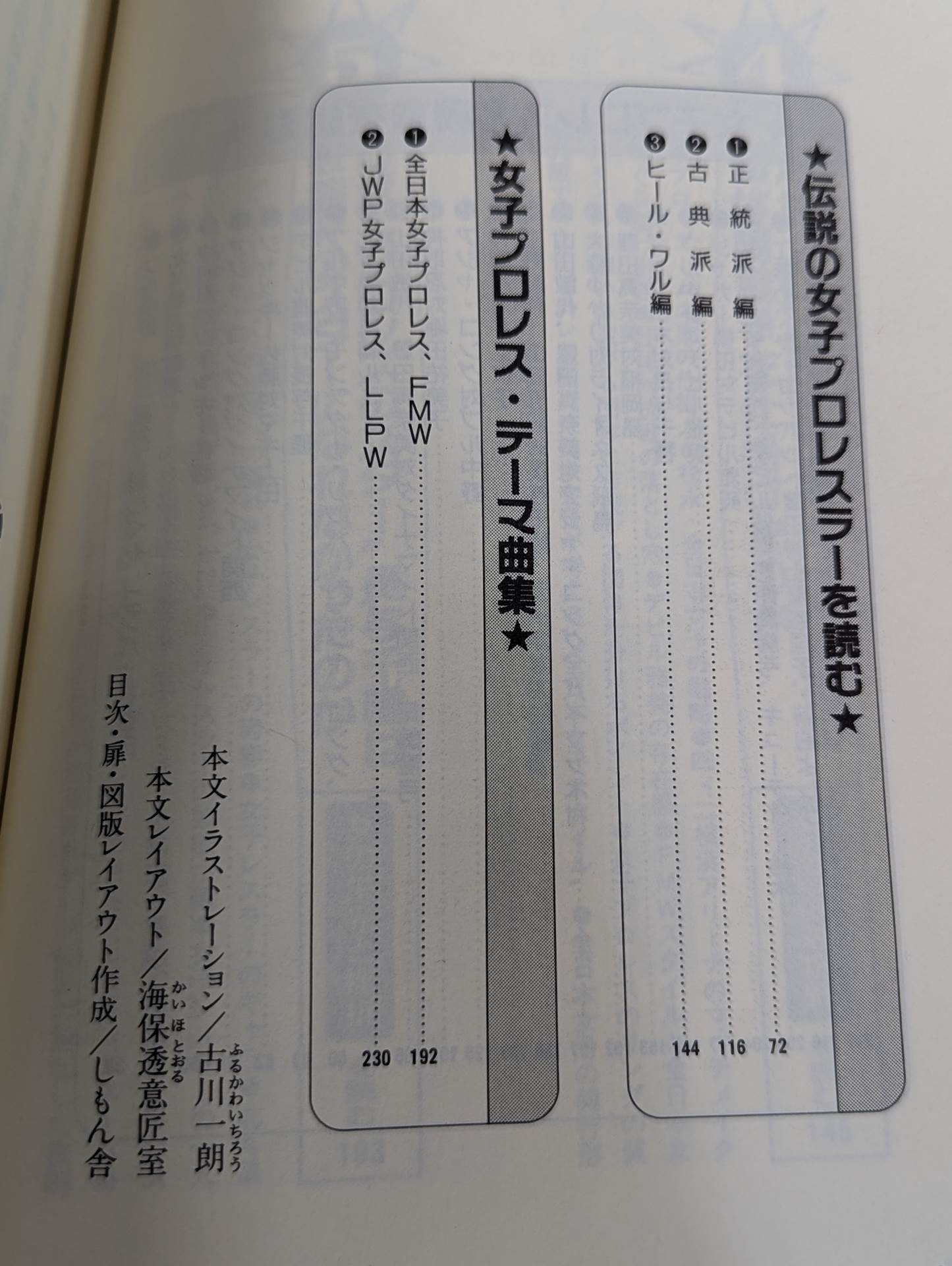 Pocket Book 51 How to Read Women's Pro Wrestling