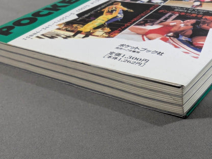Pocket Book 51 How to Read Women's Pro Wrestling