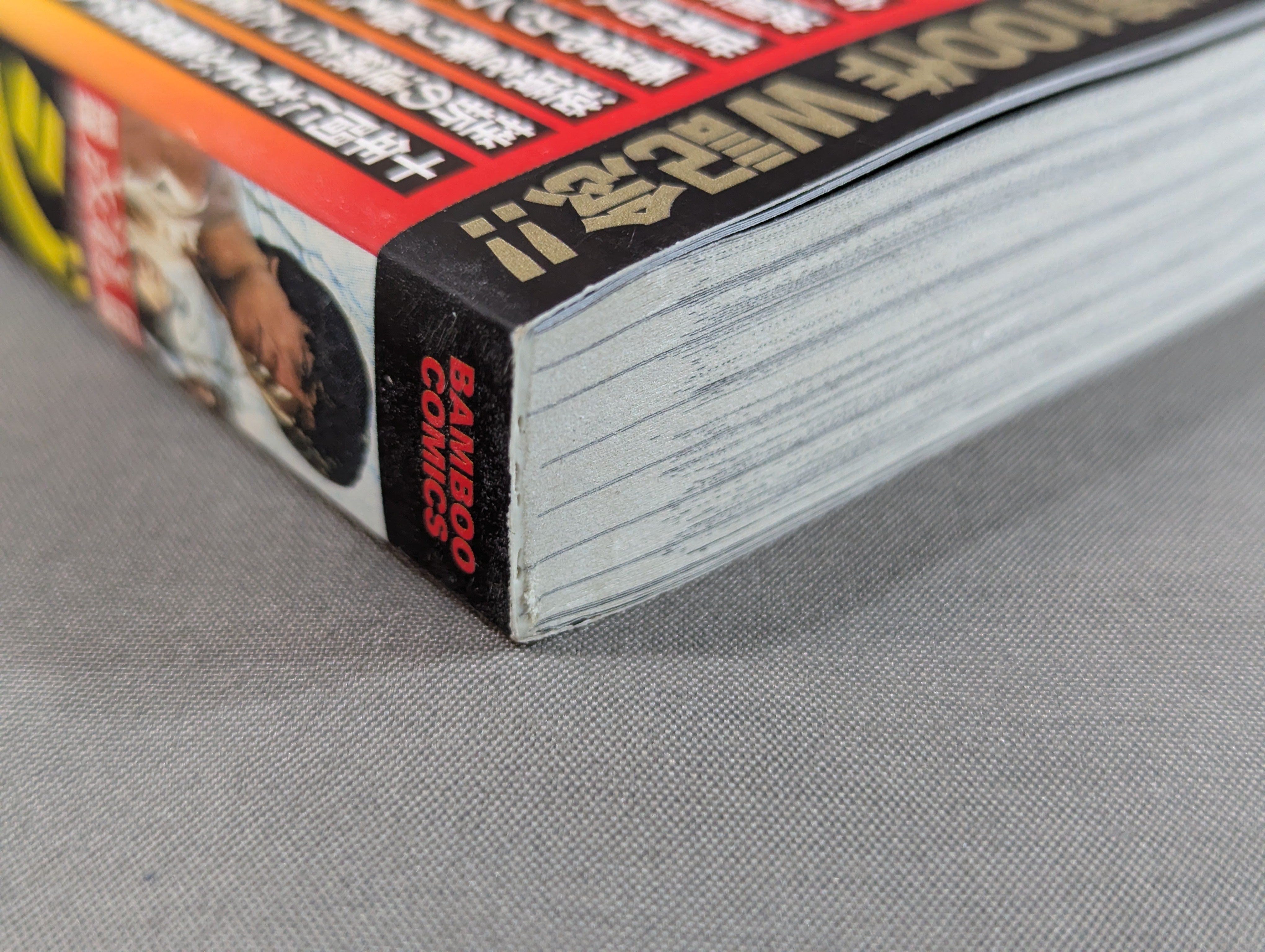 The Jackie Chan Story – 闘道館