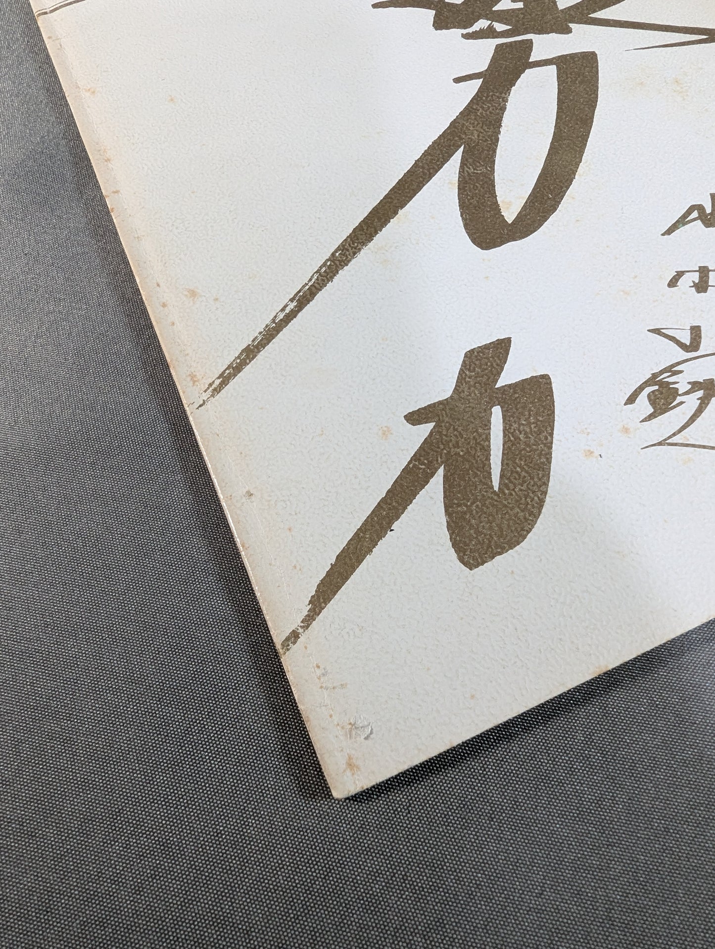 山本小鉄 引退記念アルバム
