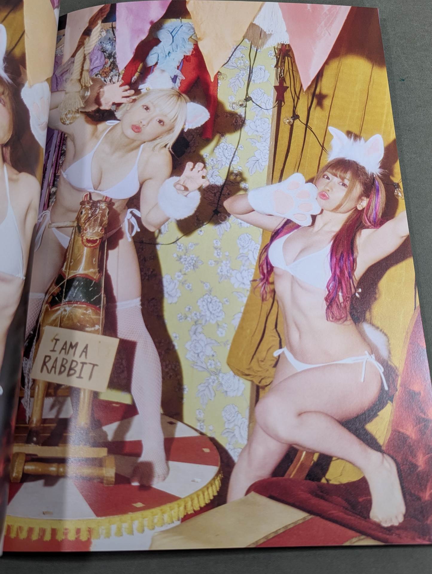 Meltear Photo  Collection Meltopia -Mirage- (Normal Edition)