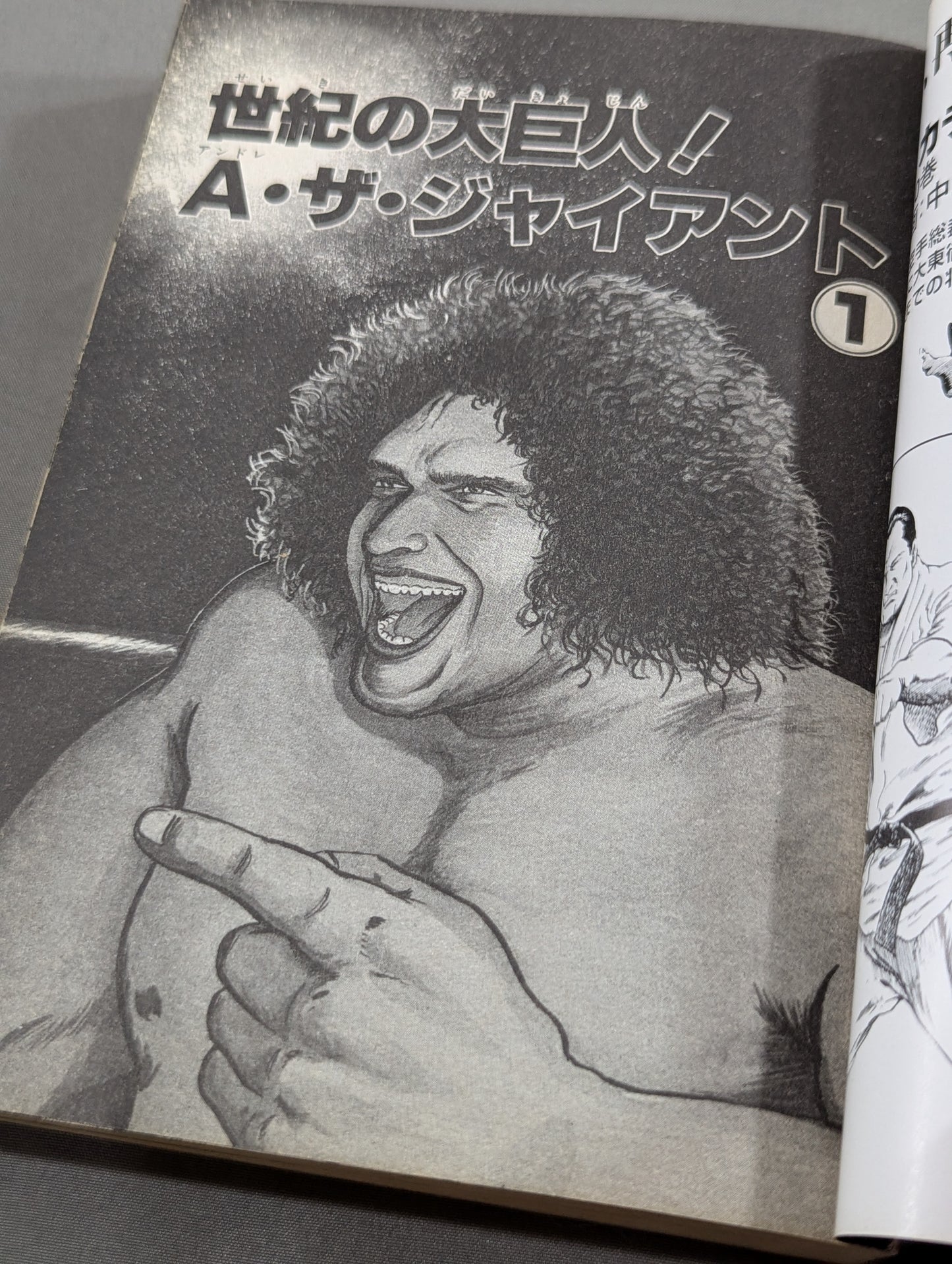 Pro Wrestling Superstar Chronicles Andre the Giant / The Great Kabuki Edition