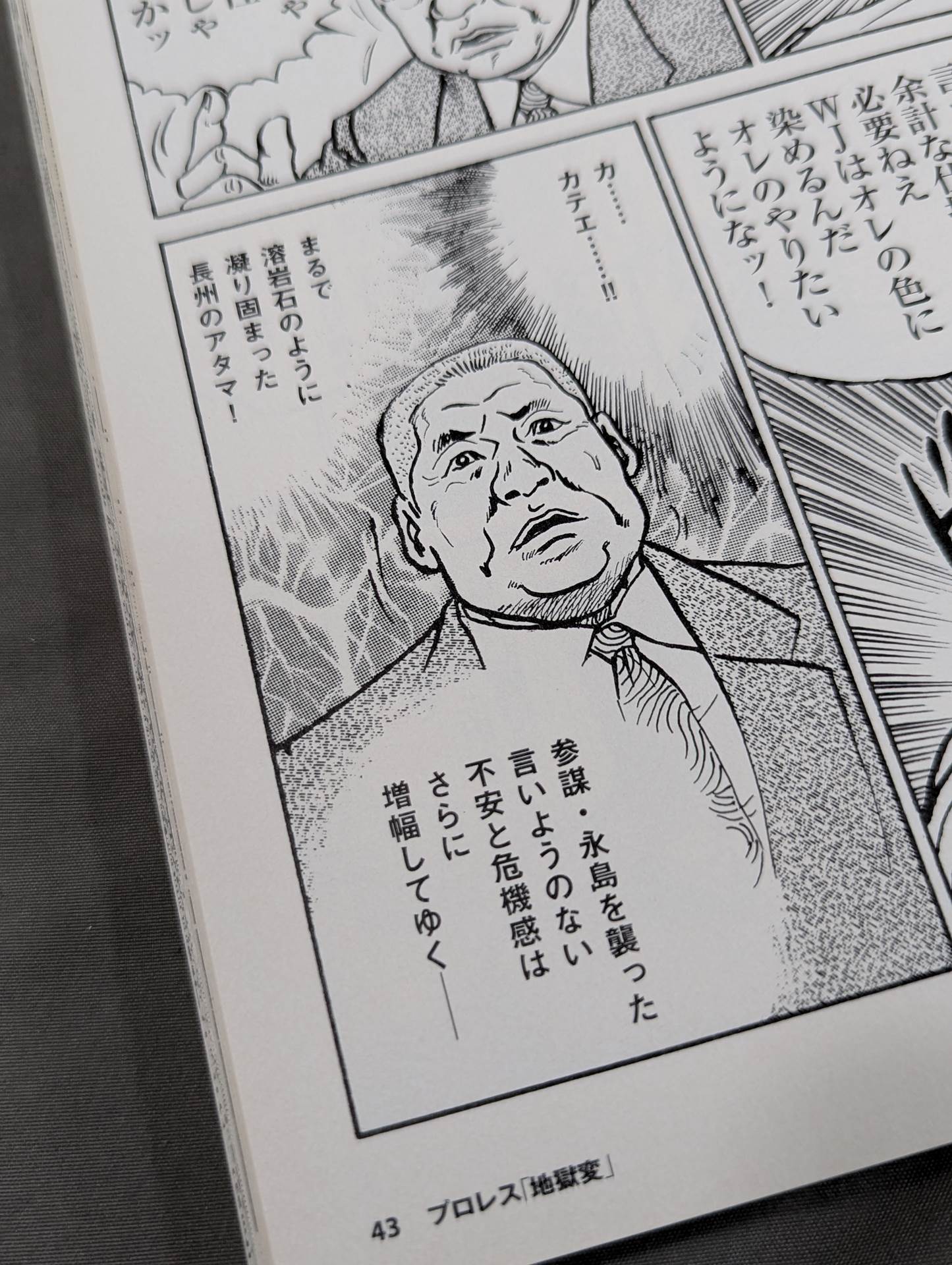別冊宝島1630 プロレス『地獄変』闘う男たちの｢光と影｣を描くプロレス劇画の決定版!
