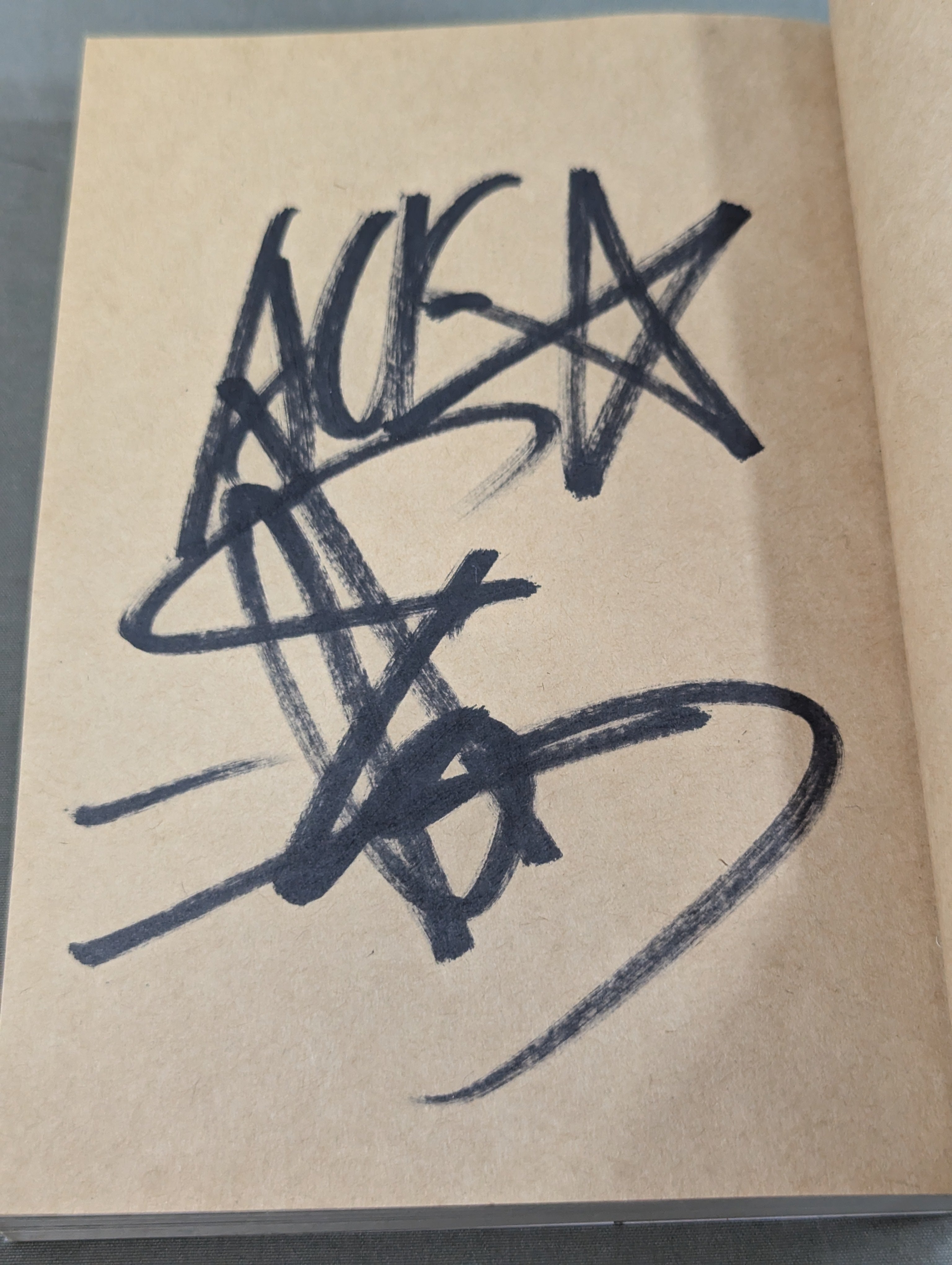 【非売品】棚橋弘至選手直筆サイン入り 新日本プロレス2008年ビジュアルブック 非売品】棚橋弘至選手直筆サイン入り 新日本プロレス2008年