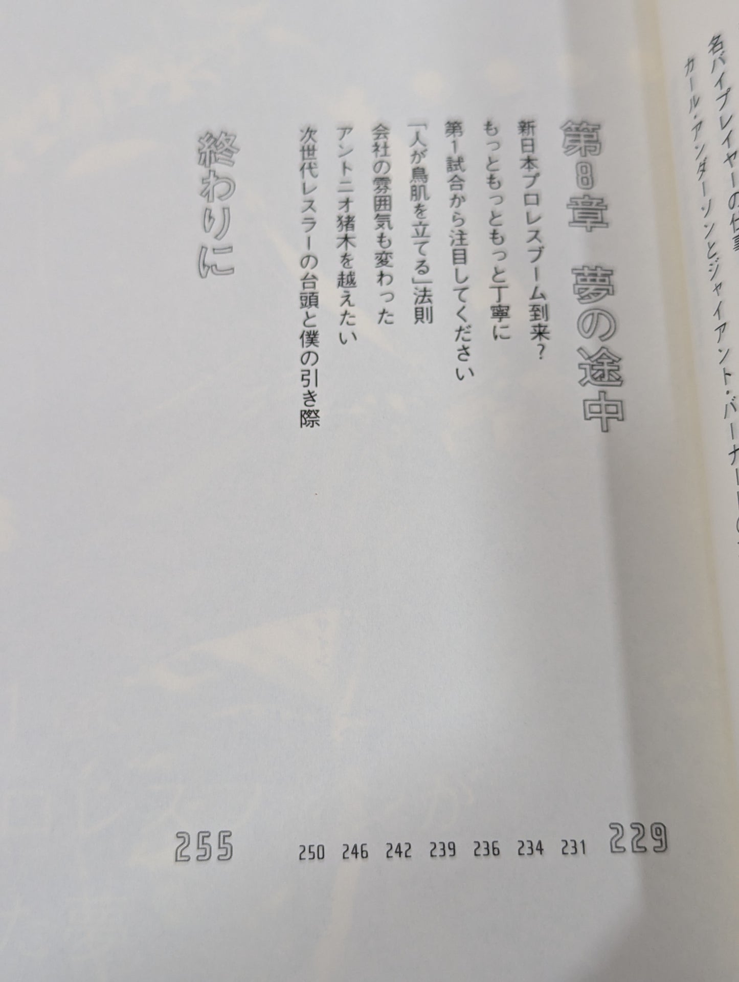 【直筆サイン入り】棚橋弘至はなぜ新日本プロレスを変えることができたのか