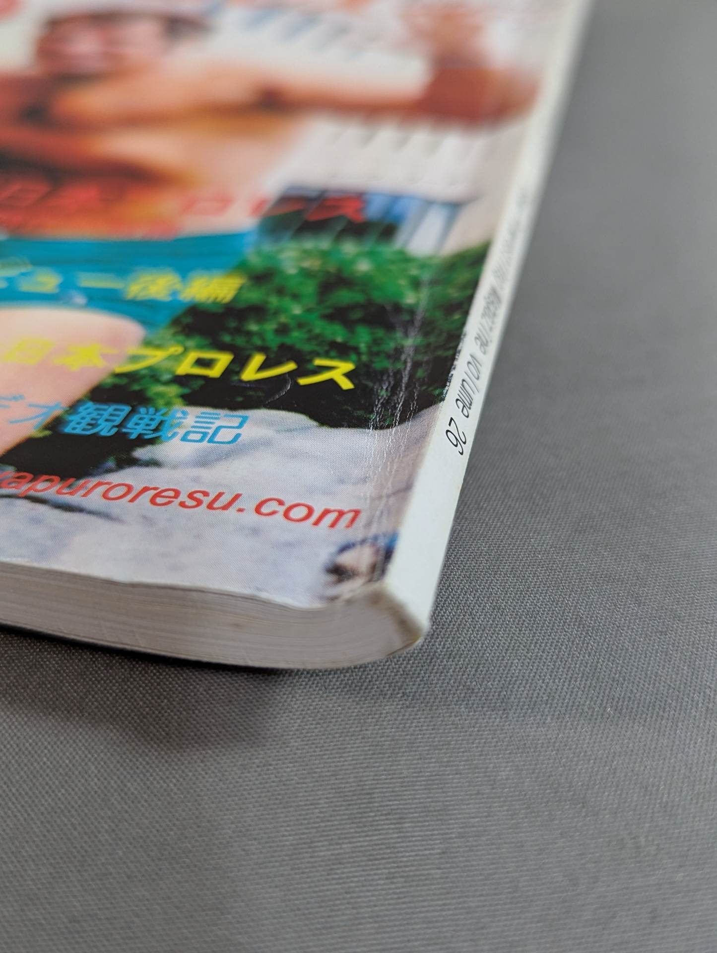 Dr. Mick's Showa Pro Wrestling Magazine No. ★ 26 Special Feature No TV Era ★ New Japan Pro Wrestling