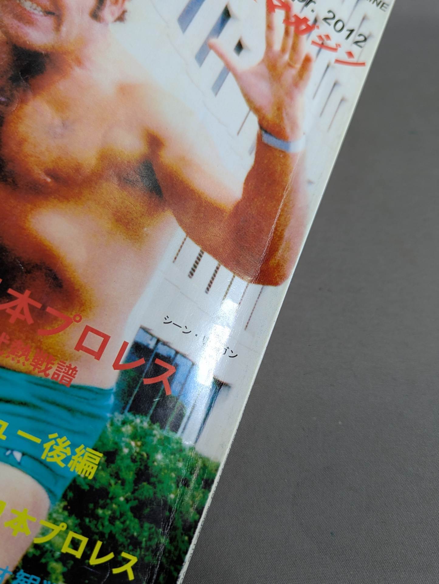 Dr. Mick's Showa Pro Wrestling Magazine No. ★ 26 Special Feature No TV Era ★ New Japan Pro Wrestling